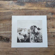 Load image into Gallery viewer, Sheep & Farming Etching Print - Hand-Pulled Intaglio Etching Print from Copperplate – Signed, Numbered