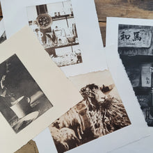 Load image into Gallery viewer, Japan / Tokyo Etching Print - Hand-Pulled Intaglio Etching Print from Copperplate – Signed, Numbered