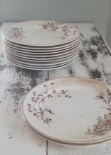 Load image into Gallery viewer, SOLD - 1800's John Edwards Fenton Set Earthenware Dinner Plates