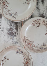 Load image into Gallery viewer, SOLD - 1800's John Edwards Fenton Set Earthenware Dinner Plates