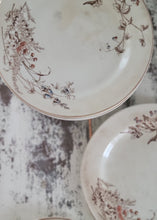 Load image into Gallery viewer, SOLD - 1800's John Edwards Fenton Set Earthenware Dinner Plates