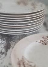 Load image into Gallery viewer, SOLD - 1800's John Edwards Fenton Set Earthenware Dinner Plates