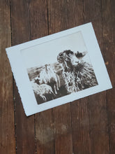 Load image into Gallery viewer, Sheep &amp; Farming Etching Print - Hand-Pulled Intaglio Etching Print from Copperplate – Signed, Numbered
