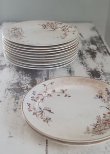 SOLD - 1800's John Edwards Fenton Set Earthenware Dinner Plates