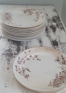 SOLD - 1800's John Edwards Fenton Set Earthenware Dinner Plates